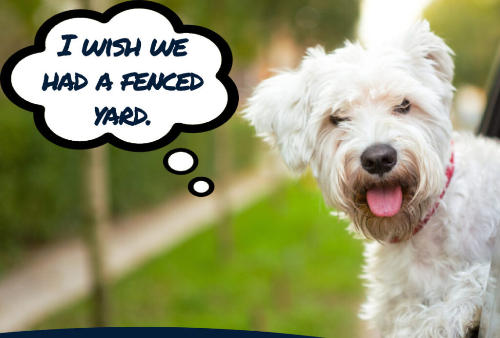 Dog Fence Builder Rowlett TX