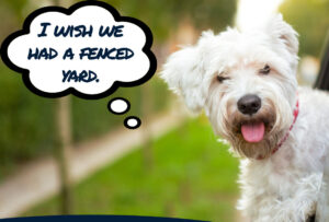 Dog Fence Builder Rowlett TX